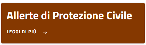 bottone in homepage