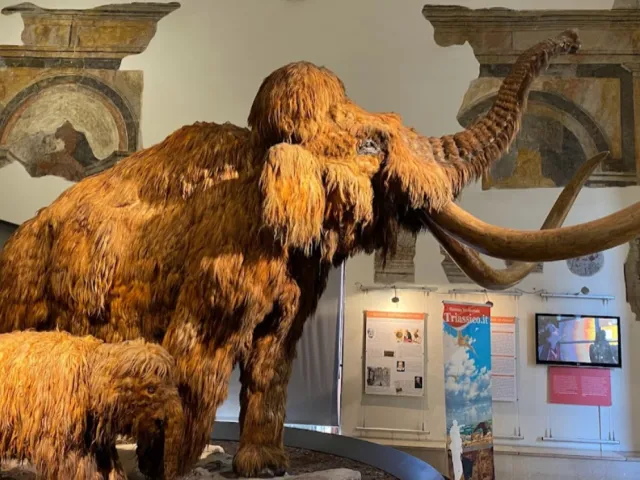 Ingresso del museo di scienze naturali