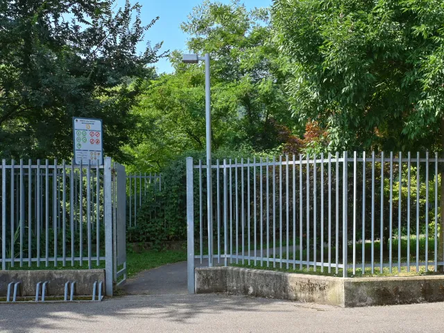 Ingresso scout