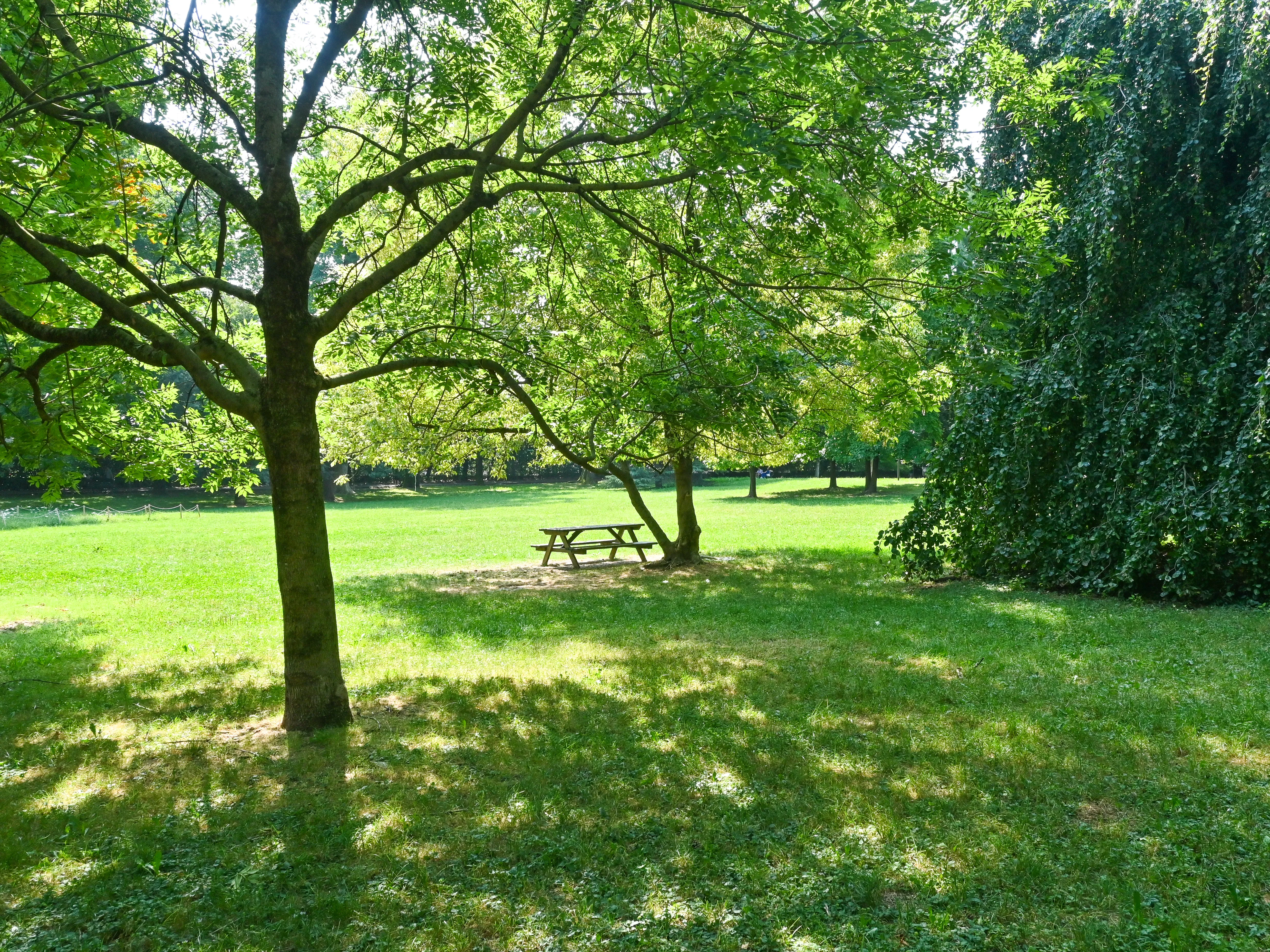 parco Suardi